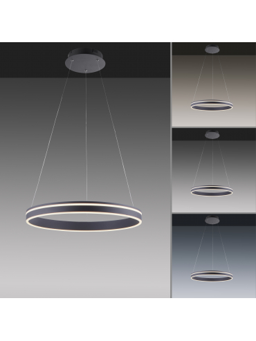 Lampa wisząca Q-VITO 8411-13