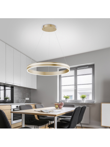 Lampa wisząca Q-VITO 8411-60