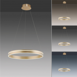 Lampa wisząca Q-VITO 8411-60