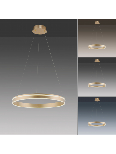 Lampa wisząca Q-VITO 8411-60