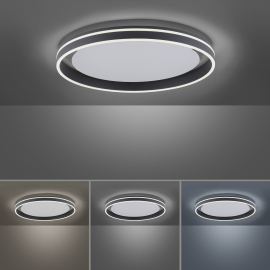 Lampa sufitowa Q-VITO 8416-13