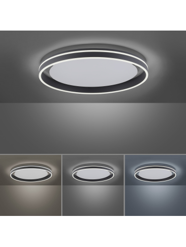 Lampa sufitowa Q-VITO 8416-13