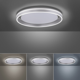 Lampa sufitowa Q-VITO 8416-55