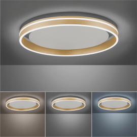 Lampa sufitowa Q-VITO 8416-60