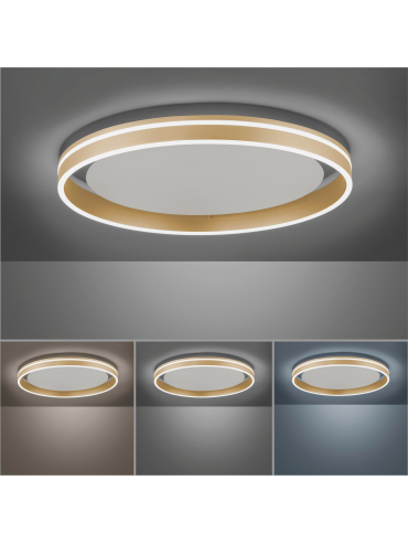 Lampa sufitowa Q-VITO 8416-60