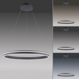 Lampa wisząca Q-VITO 8412-13