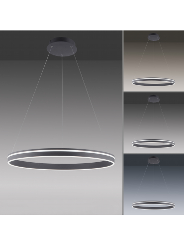 Lampa wisząca Q-VITO 8412-13