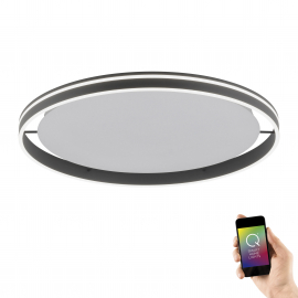 Lampa sufitowa Q-VITO 8418-13