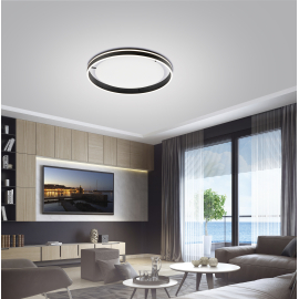 Lampa sufitowa Q-VITO 8418-13