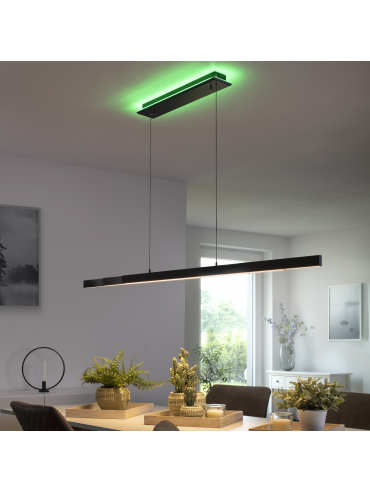 Lampa wisząca Q-ARIAN 2569-13