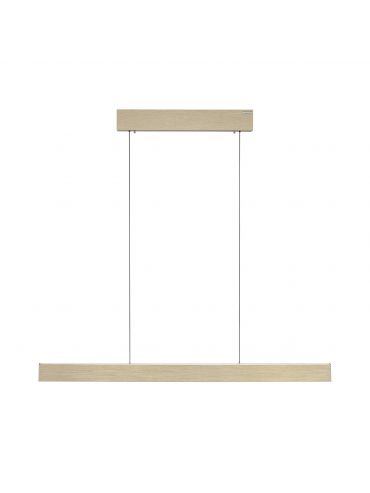 Lampa wisząca PURE E-MOT 2570-60