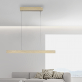 Lampa wisząca PURE E-MOT 2570-60