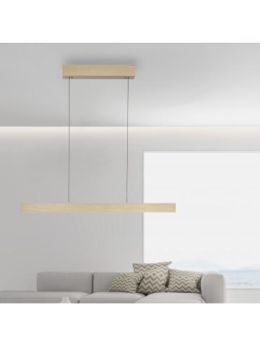 Lampa wisząca PURE E-MOT 2570-60