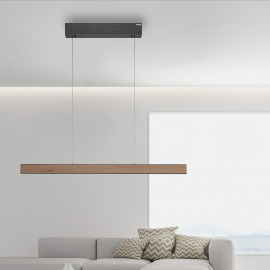 Lampa wisząca PURE E-MOT 2570-79