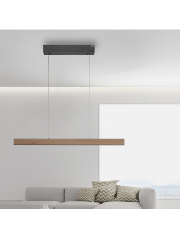 Lampa wisząca PURE E-MOT 2570-79