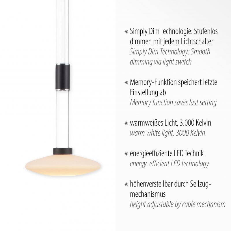 Lampa wisząca LAUTADA 2080-18