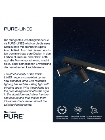 Lampa sufitowa PURE-LINES 6121-13