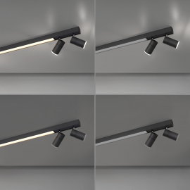 Lampa sufitowa PURE-LINES 6121-13