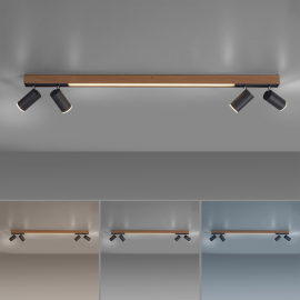 Lampa sufitowa PURE-LINES 6121-79