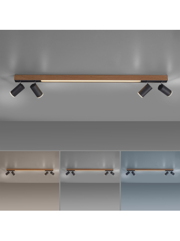 Lampa sufitowa PURE-LINES 6121-79