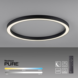 Lampa sufitowa PURE-LINES 6306-13