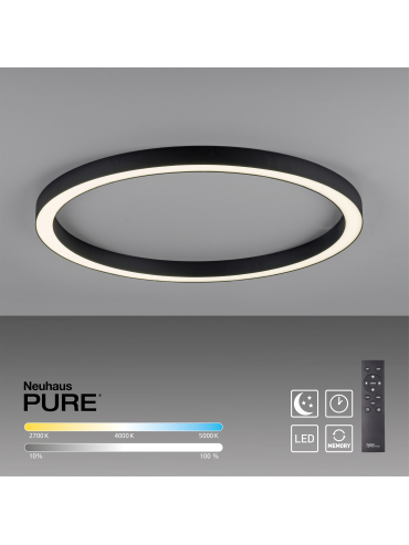 Lampa sufitowa PURE-LINES 6306-13