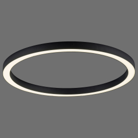 Lampa sufitowa PURE-LINES 6306-13