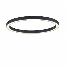 Lampa sufitowa PURE-LINES 6306-13