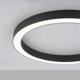 Lampa sufitowa PURE-LINES 6309-13