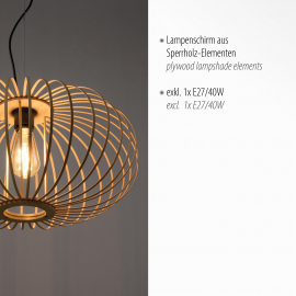 Lampa wisząca RACOON 11409-79