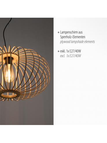 Lampa wisząca RACOON 11409-79