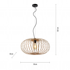 Lampa wisząca RACOON 11409-79