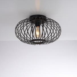 Lampa sufitowa RACOON 11410-18