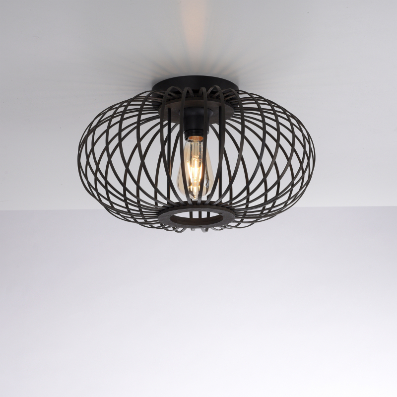 Lampa sufitowa RACOON 11410-18