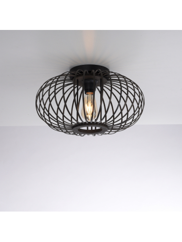 Lampa sufitowa RACOON 11410-18
