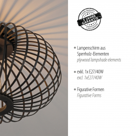 Lampa sufitowa RACOON 11410-18
