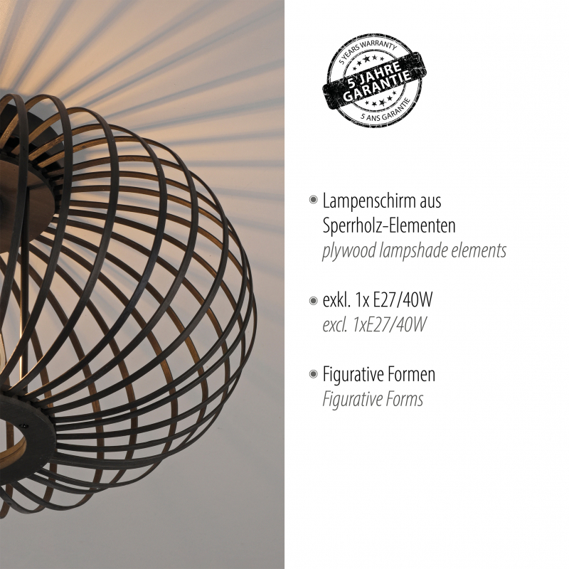 Lampa sufitowa RACOON 11410-18