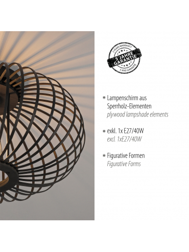 Lampa sufitowa RACOON 11410-18