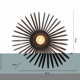 Lampa sufitowa RACOON 11410-18