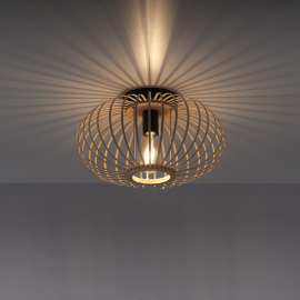 Lampa sufitowa RACOON 11410-79