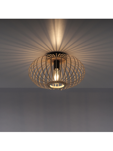 Lampa sufitowa RACOON 11410-79