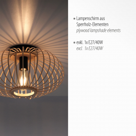 Lampa sufitowa RACOON 11410-79