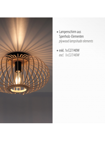 Lampa sufitowa RACOON 11410-79