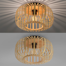 Lampa sufitowa RACOON 11412-79