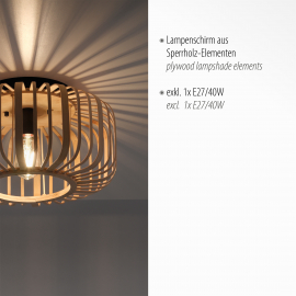 Lampa sufitowa RACOON 11412-79