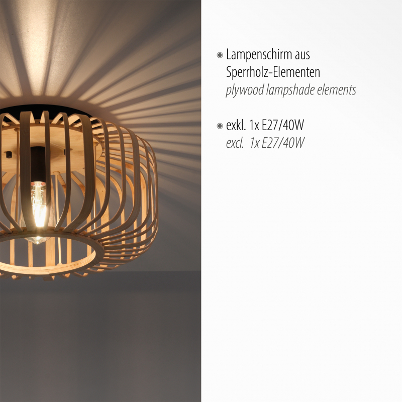 Lampa sufitowa RACOON 11412-79