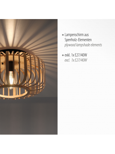 Lampa sufitowa RACOON 11412-79