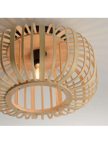 Lampa sufitowa RACOON 11412-79