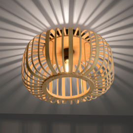 Lampa sufitowa RACOON 11412-79