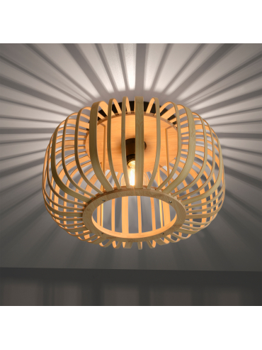 Lampa sufitowa RACOON 11412-79